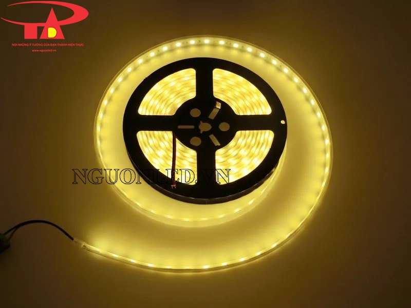 Đèn led dây 5050 IP67 màu vàng