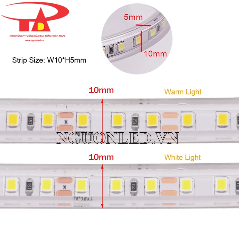 Led dây 12v 2835 có silicon