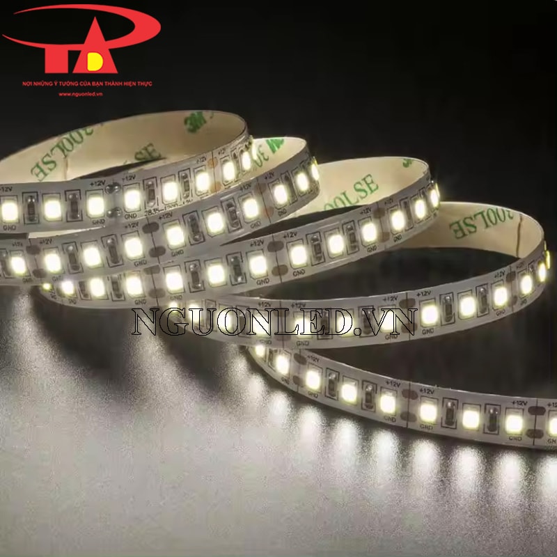 Dây led dán 5m 2835 màu trắng