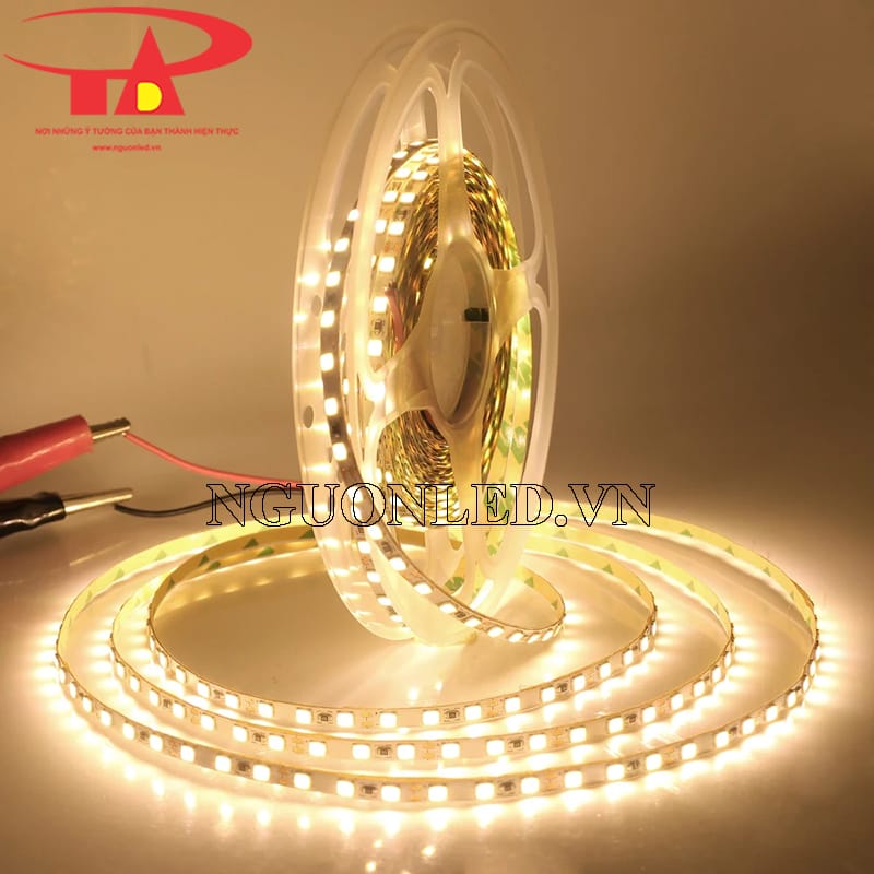 Dây led cuộn 5m 2835 vàng