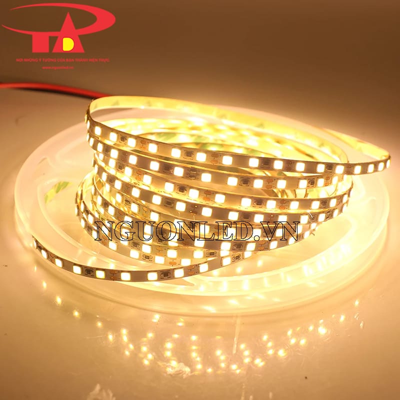 Dây led dẻo 2835 màu vàng