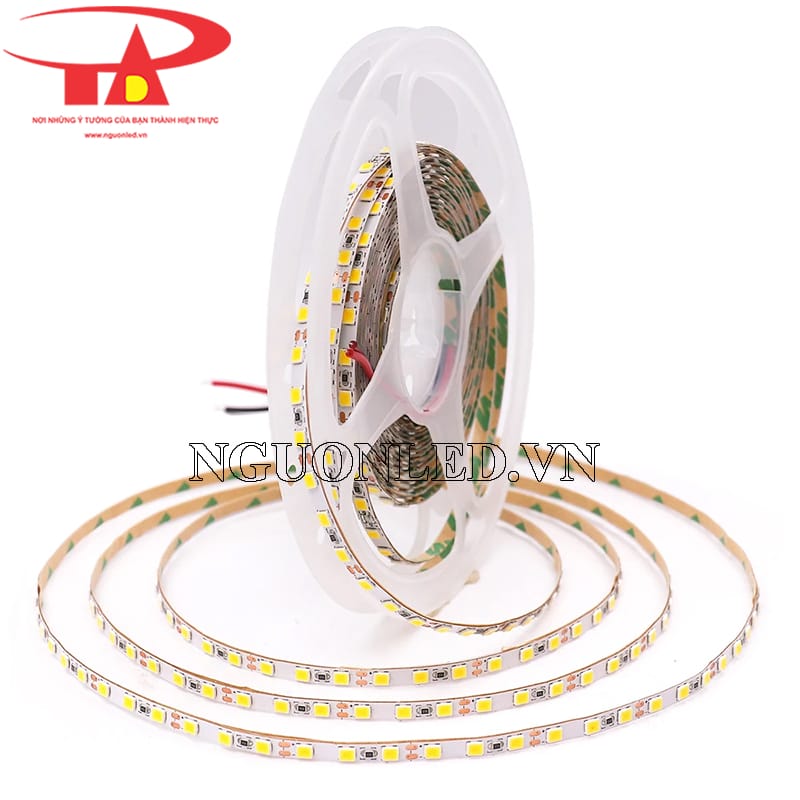 Đèn led dây 12v 2835 màu vàng