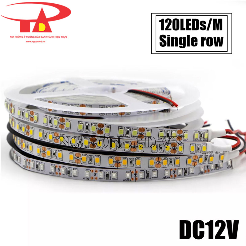 Dây led dán 2835 120 led