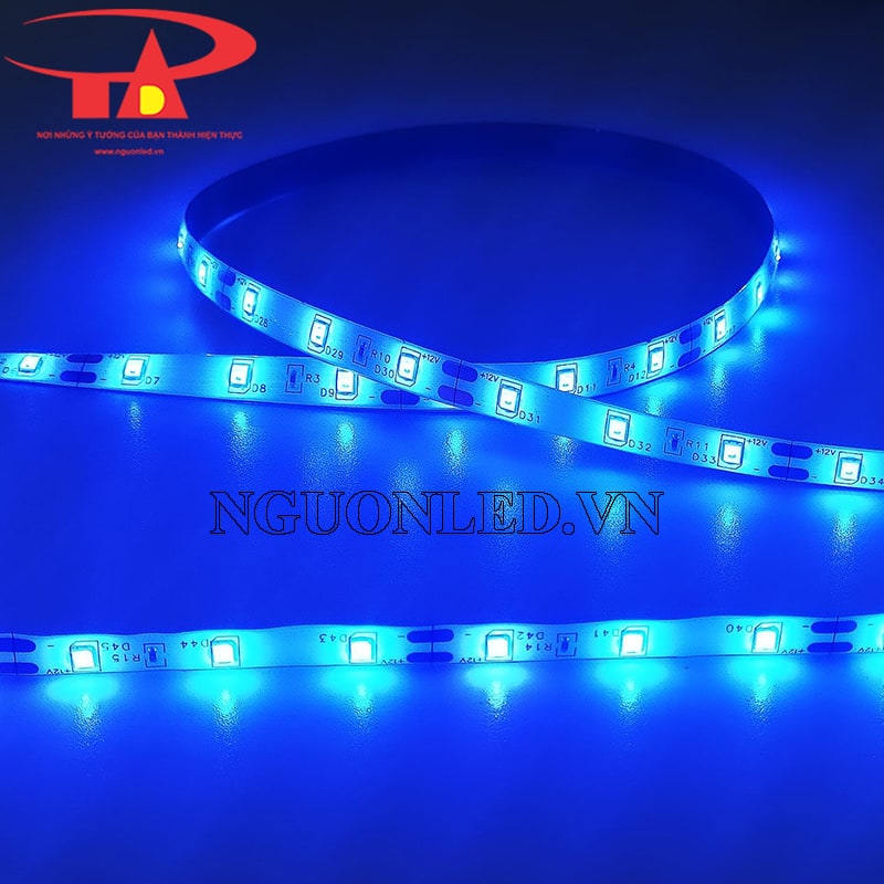 Led cuộn 5m 12v xanh dương