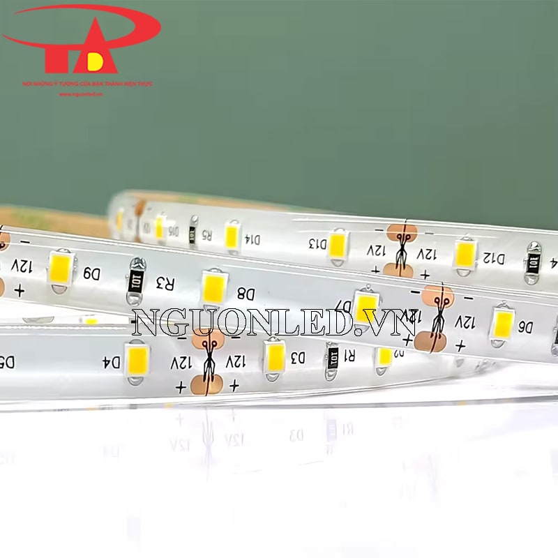 Led dây 12v chip 2835 có keo