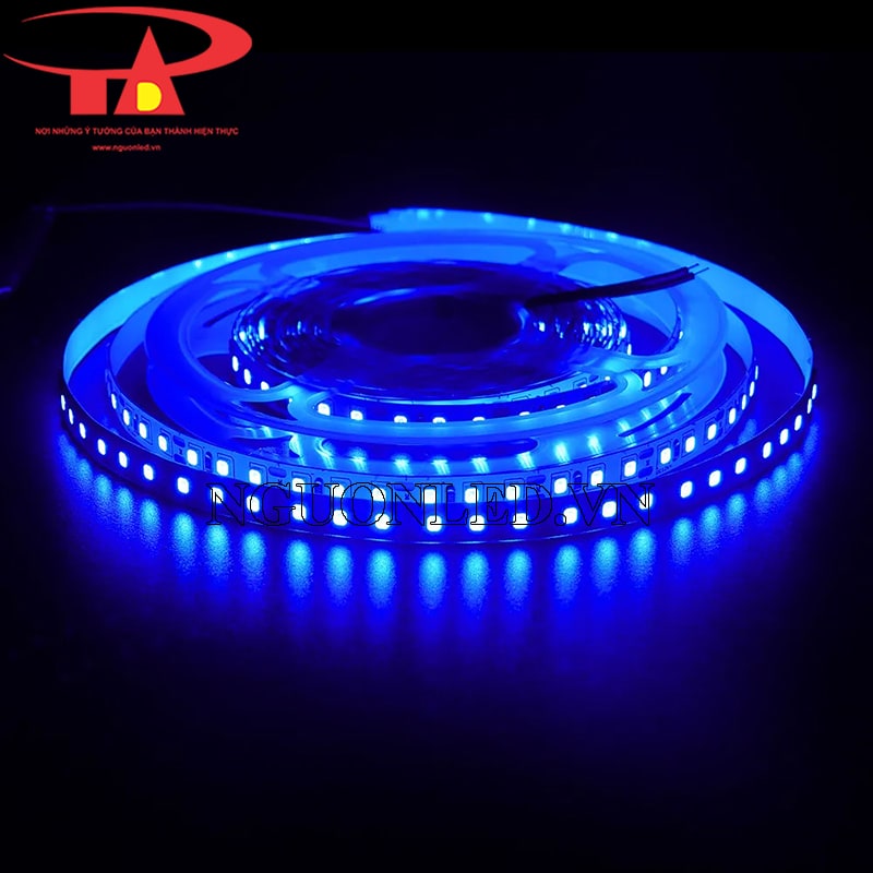 Led dây dán 12v 2835 xanh dương