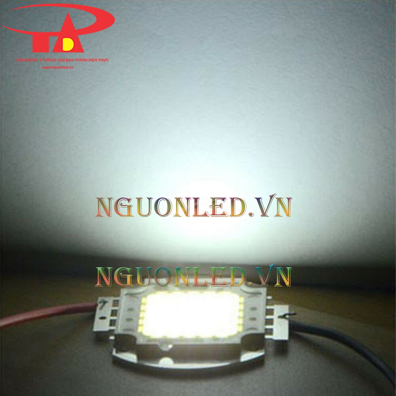 Nhân đèn pha led 100w màu trắng