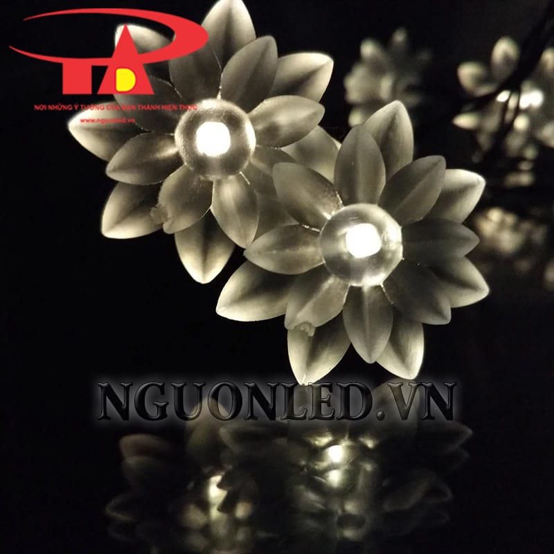 Ứng dụng led dây hình hoa sen