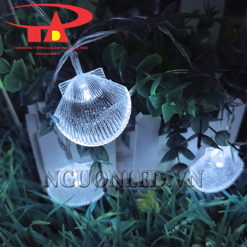 Ảnh led dây vỏ sò tại Đà Nẵng