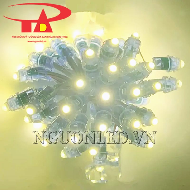 Led đúc 12V ánh sáng màu vàng nắng