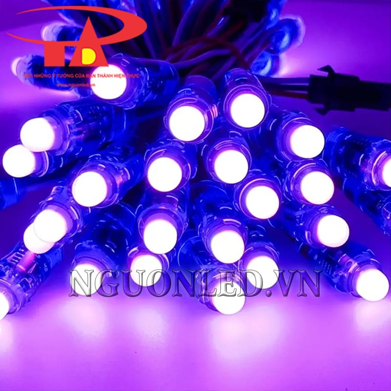 Led đúc F8 đế 12mm màu tím siêu sáng