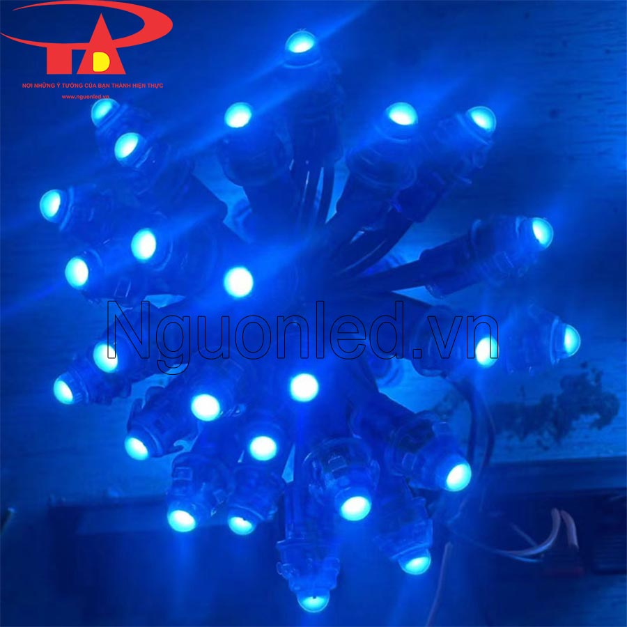 Led đúc f8 12V màu xanh dương siêu sáng