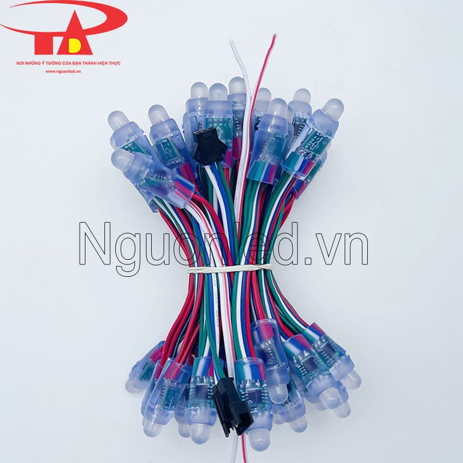 Led đúc f8 12V full color ic 8206 giá rẻ