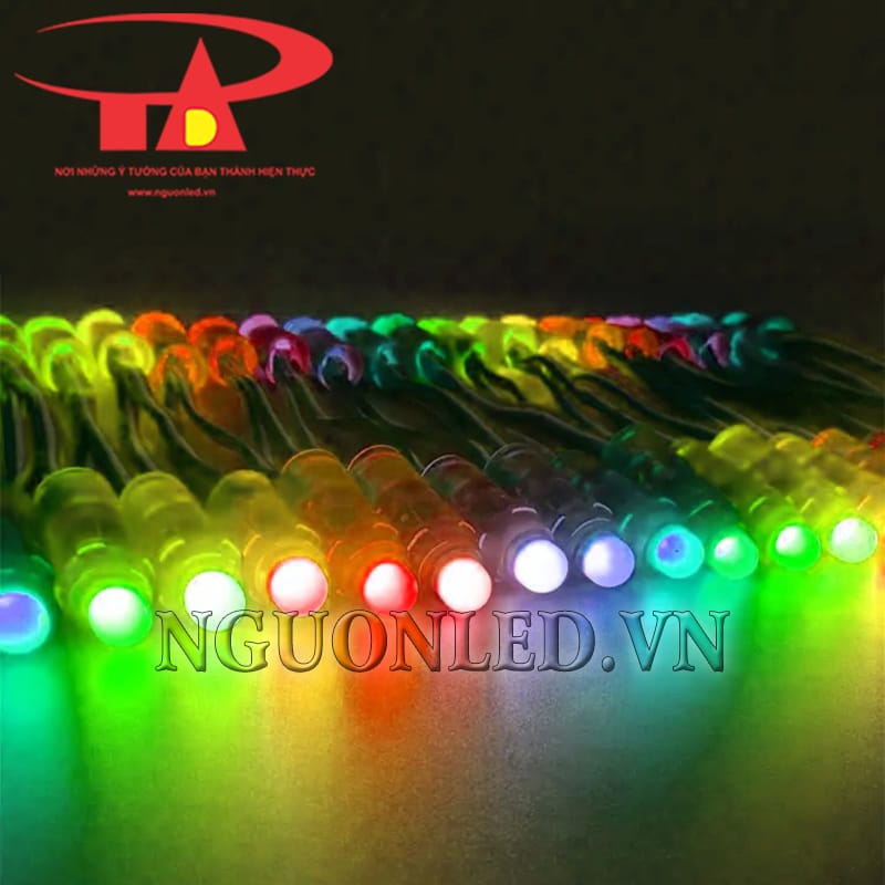 Dây đèn led đúc 12v full color siêu sáng