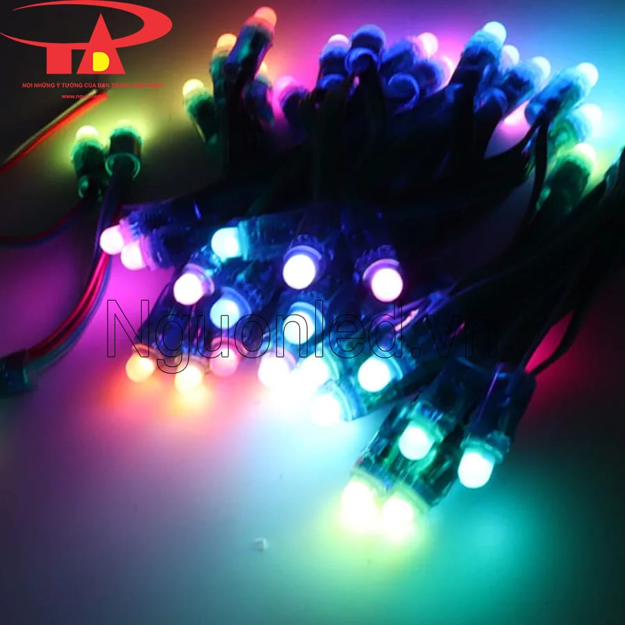 Đèn led đúc Full color ic 9883