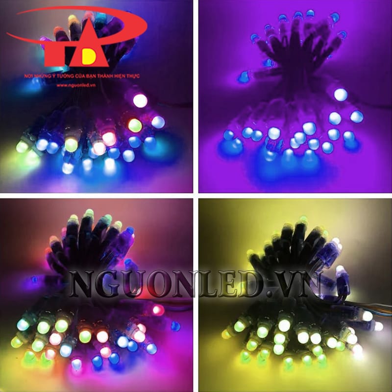 Led dây full color ic 9883 dùng điện 5V