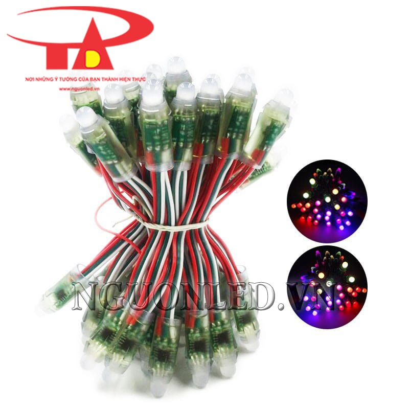 Led dây full color ngoài trời ic 1903