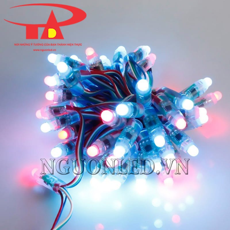 Led đúc F8 Full Color IC 1914