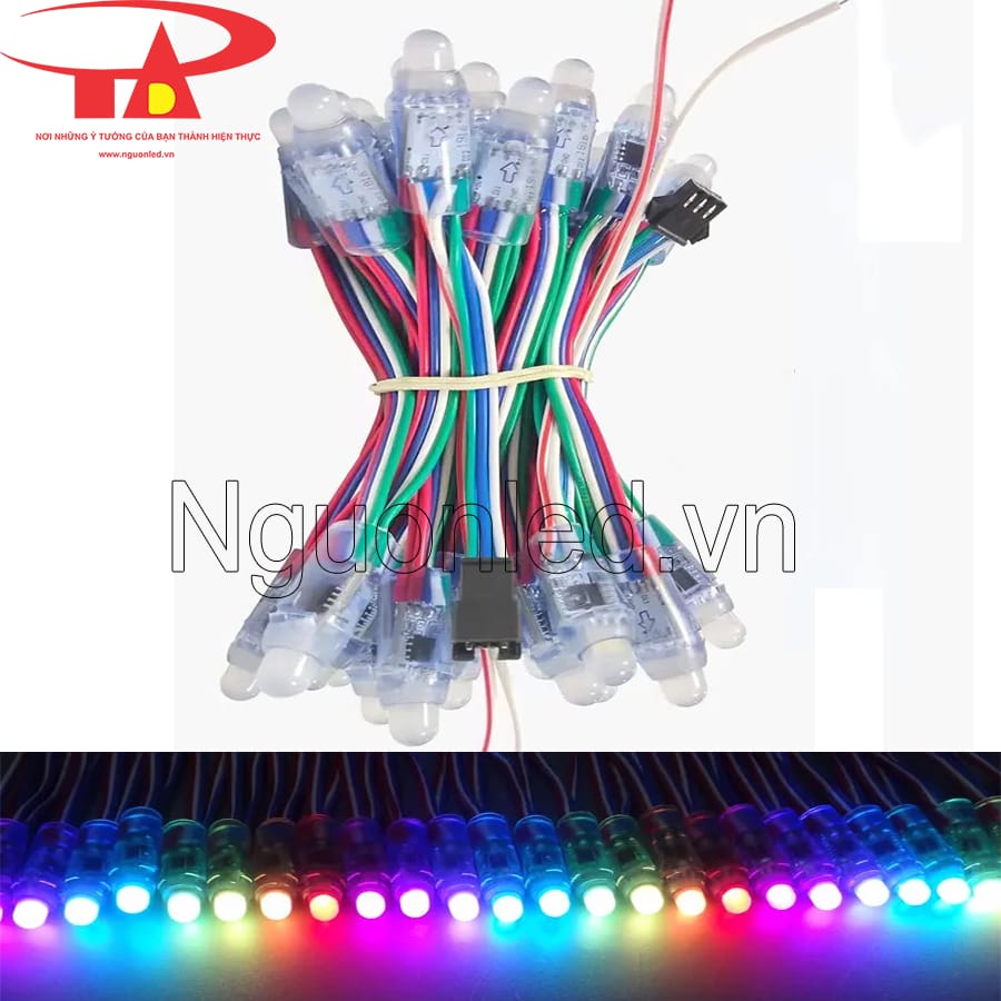 Led đúc 5V full color ic 1916