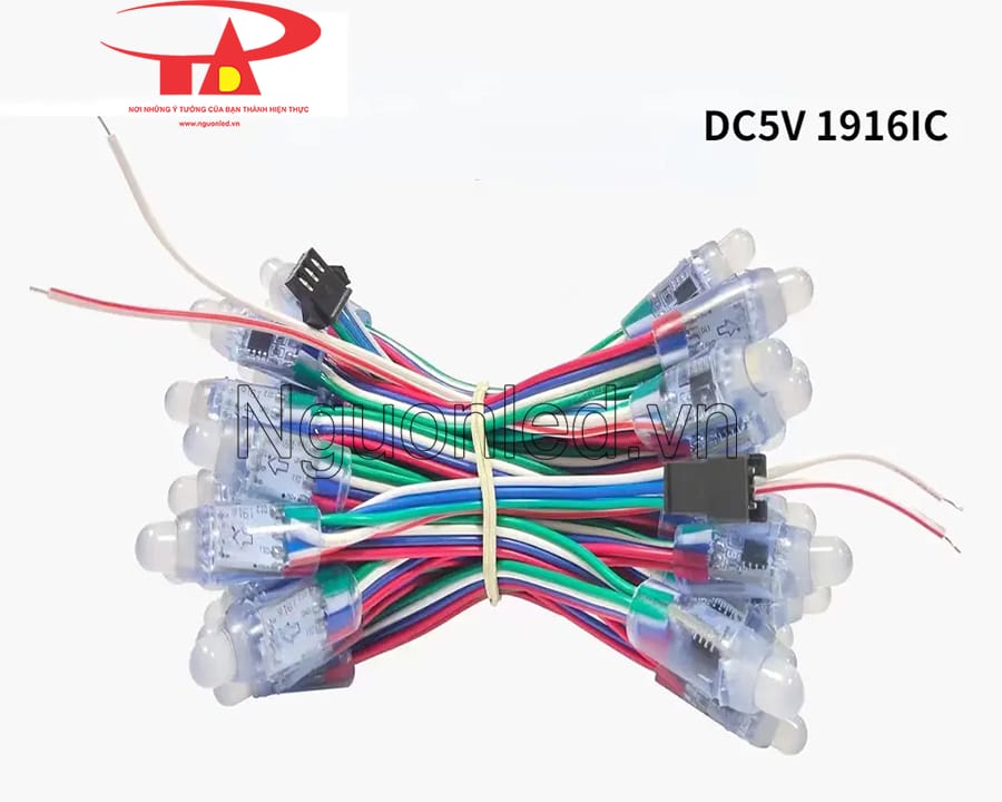 Led đúc F8 full color ic 1916