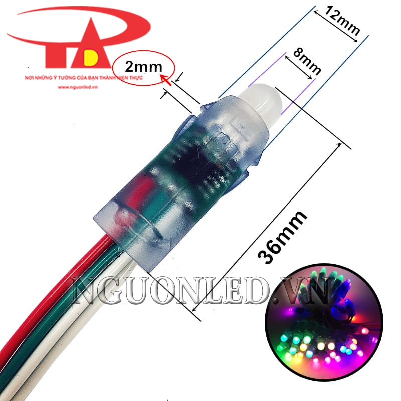 Đèn led đúc full color IC 1916