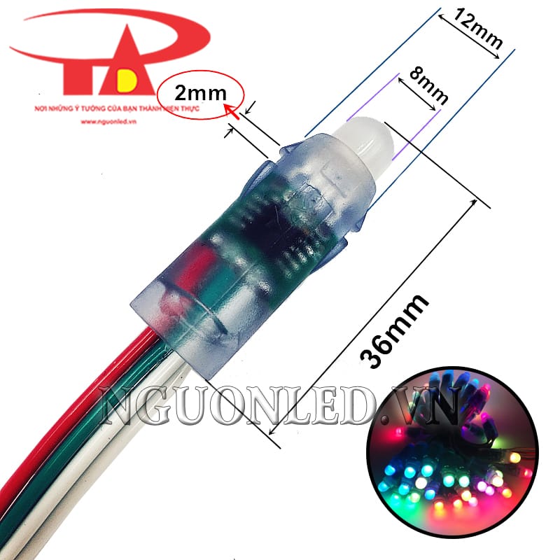 Đèn led đúc full màu IC 2811