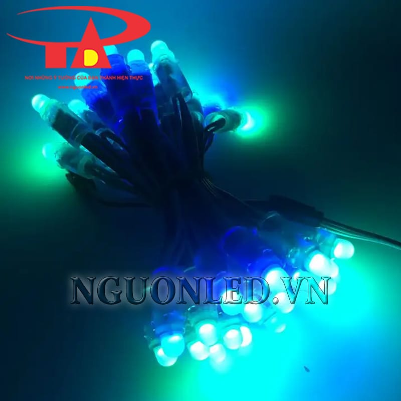 Led Đúc F8 Full Color IC 2811