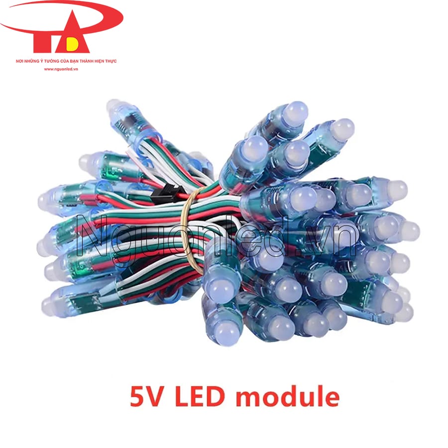 Led đúc F8 5v full color ic 8502