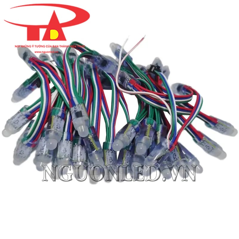 Led Đúc F8 Full Color IC 8206