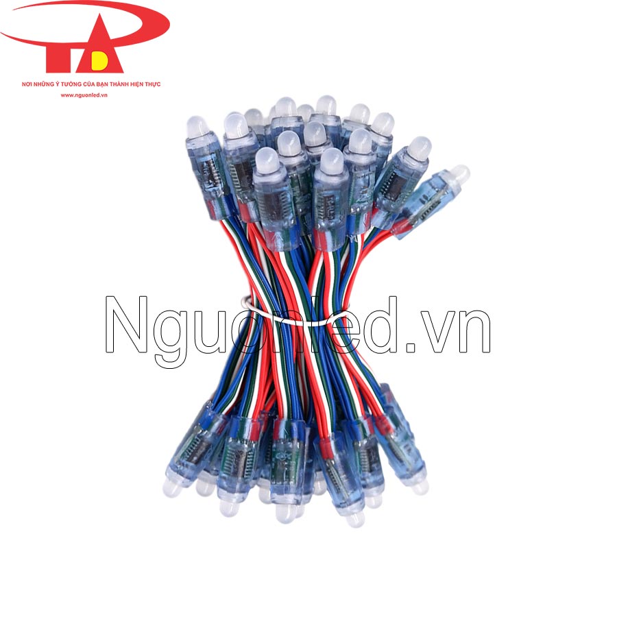 Led đúc f8 5v full color IC 9803 giá rẻ