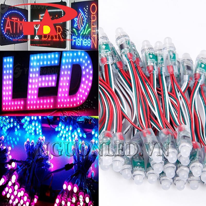 Led Đúc F8 Full Color IC 9803