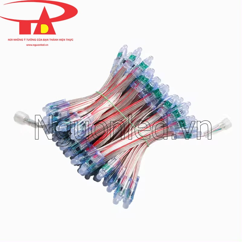 Led đúc f8 12V IC 8208 full color loại tốt