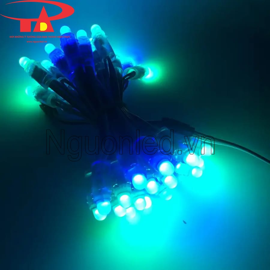 Led F8 full color tuổi thọ cao