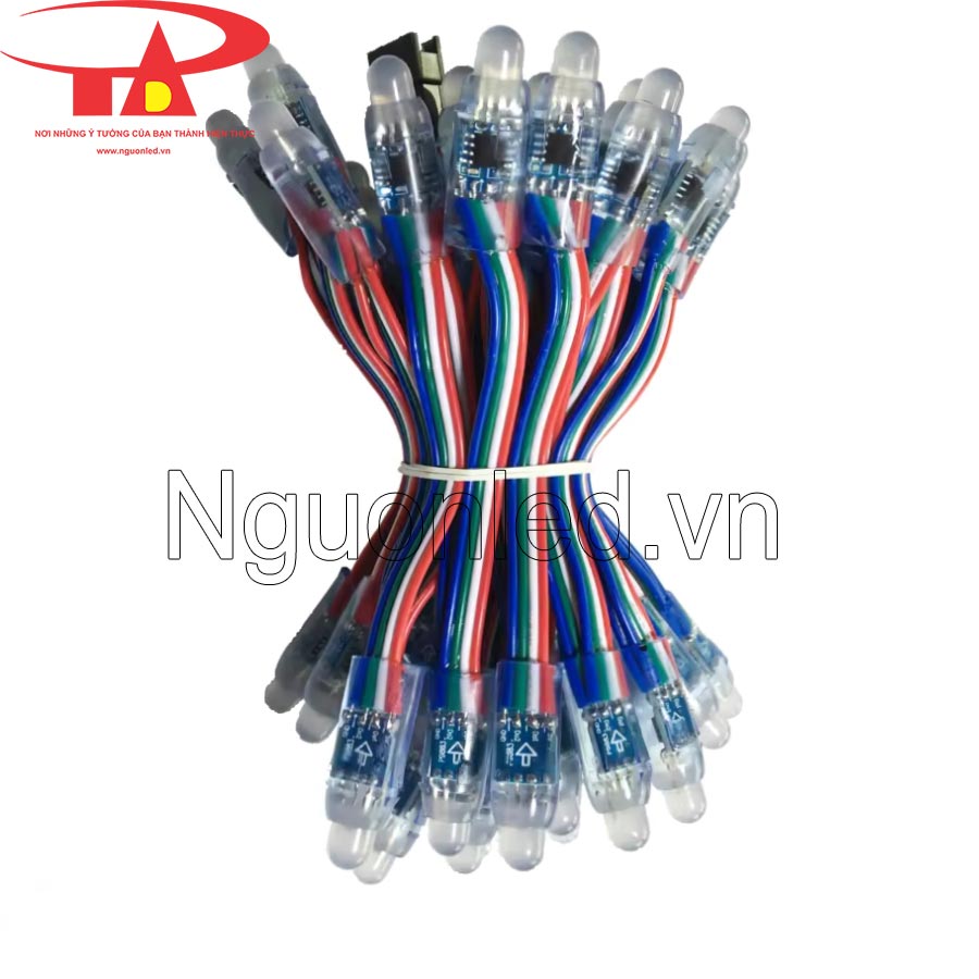 Đèn led đúc f8 12v full color ic 1918