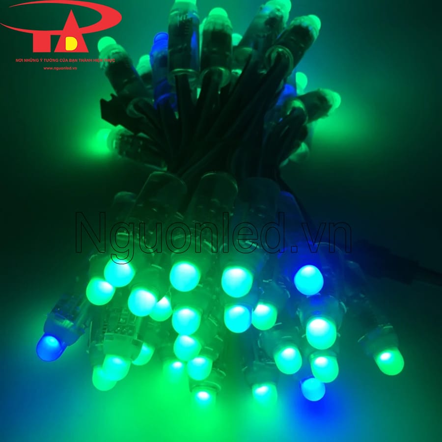 Led đúc f8 full color dùng ngoài trời