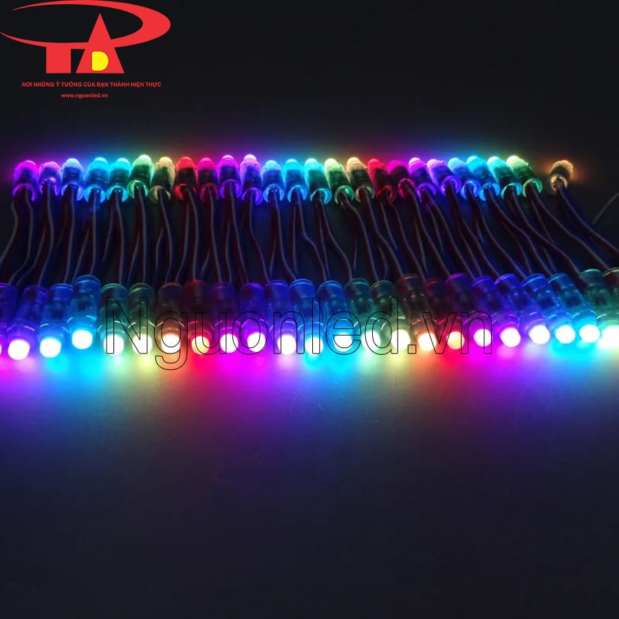 Led đúc full color f8 đế 12mm ic 1918