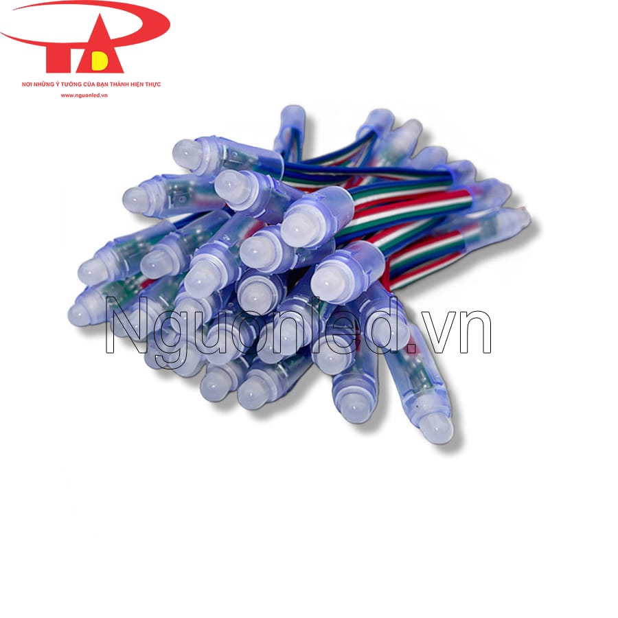 Đèn led đúc f8 5v full color ic 1818