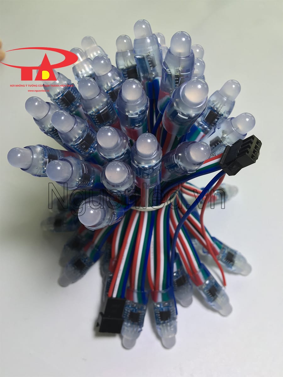 Led đúc full color ic 1818 giá rẻ