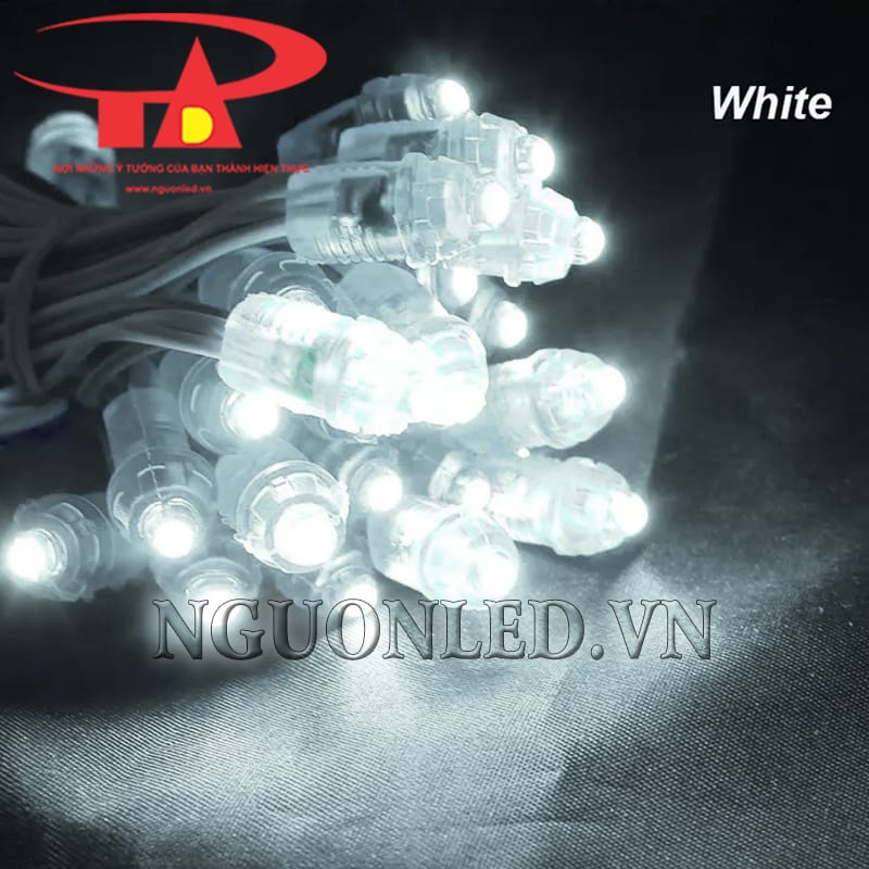 Led đúc F7 12V ánh sáng trắng