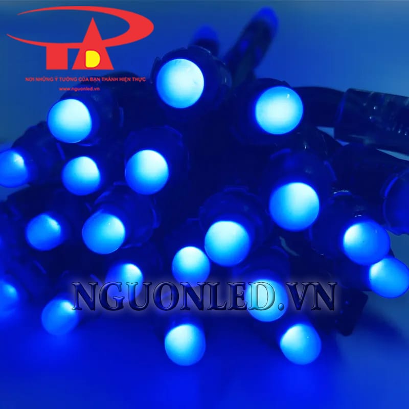 Dây led đúc F7 12v màu xanh dương