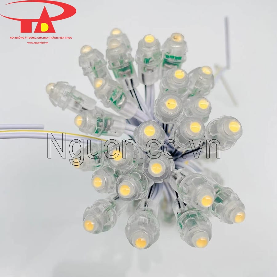 Led đúc f8 5V đầu đục màu vàng nắng giá rẻ