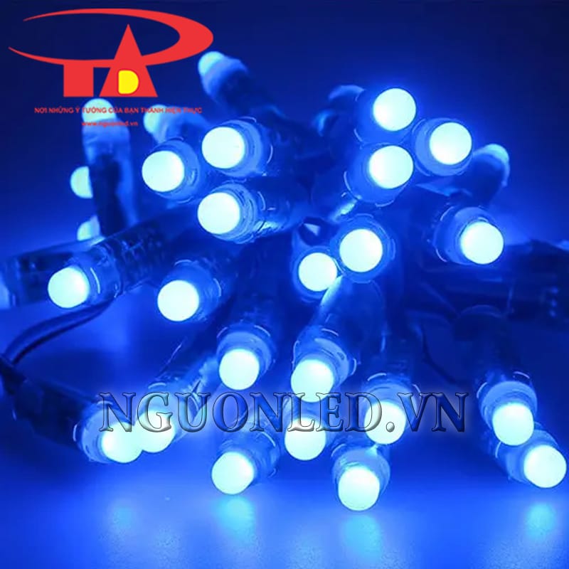 Led đúc f8 màu xanh dương ngoài trời