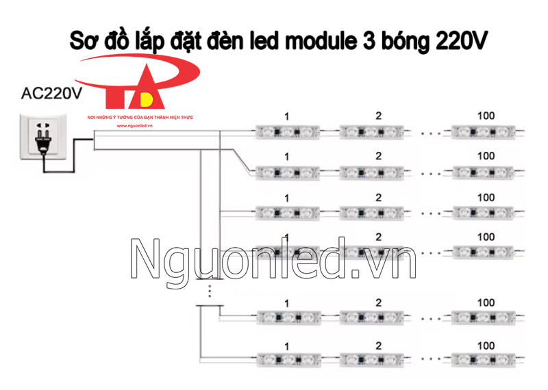 Cách lắp đặt led module 3 bóng 220v