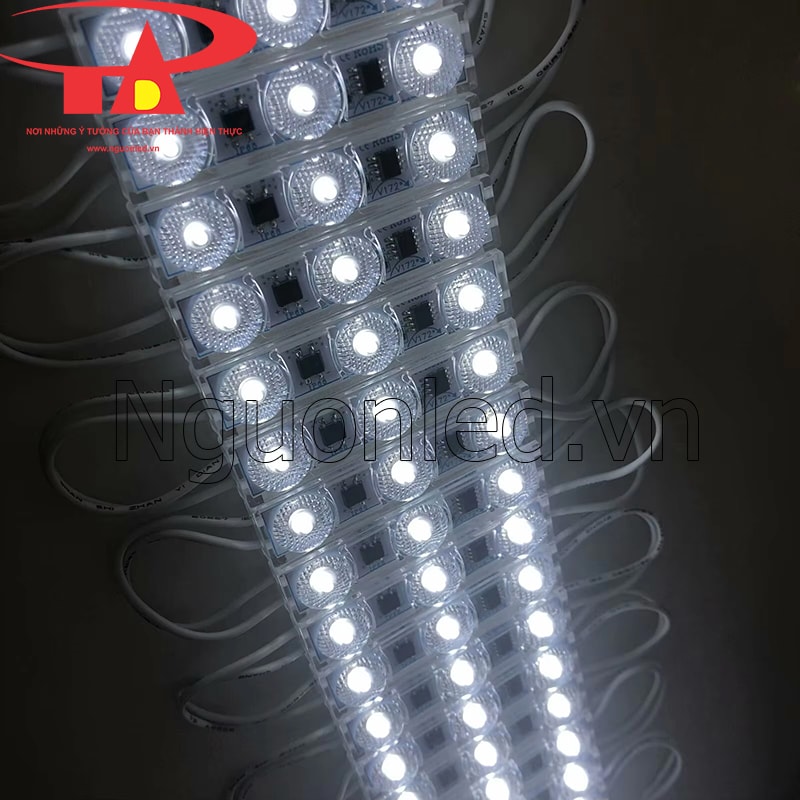 Led module 3 bóng 220V ánh sáng trắng