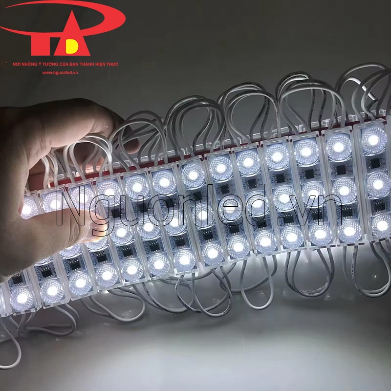 Led module 3 bóng 220V màu trắng