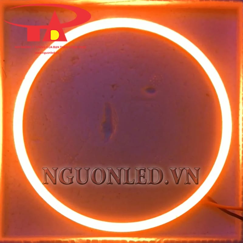 Ứng dụng led neon vòng tròn màu đỏ