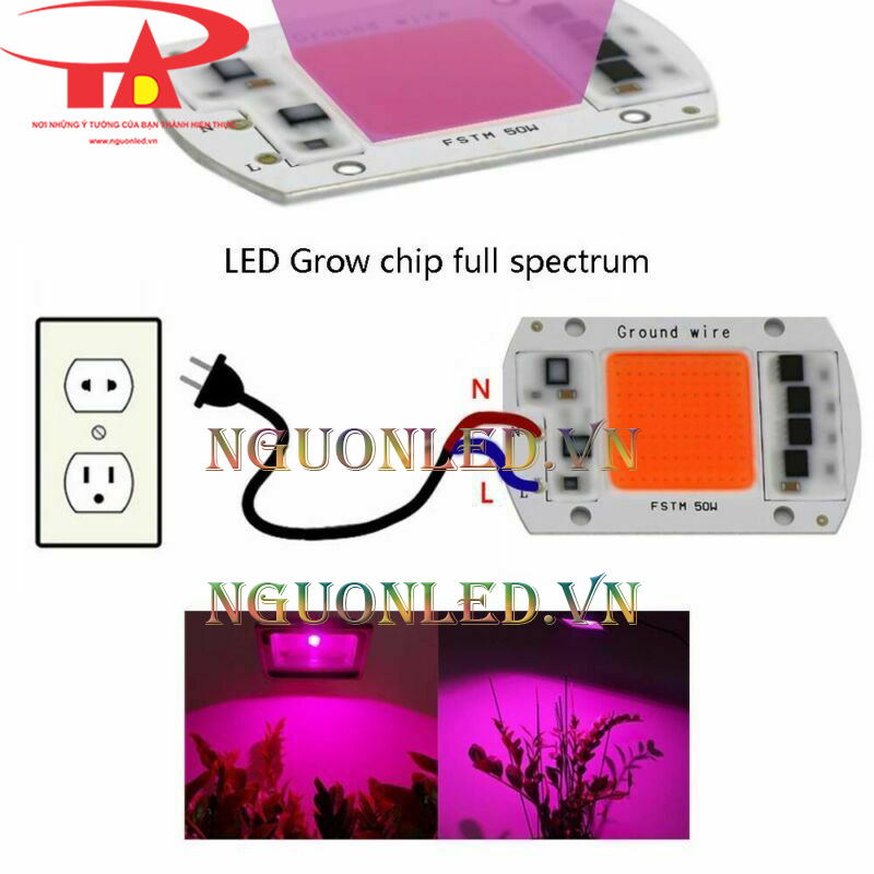 Chips led nông nghiệp loại tốt, giá rẻ