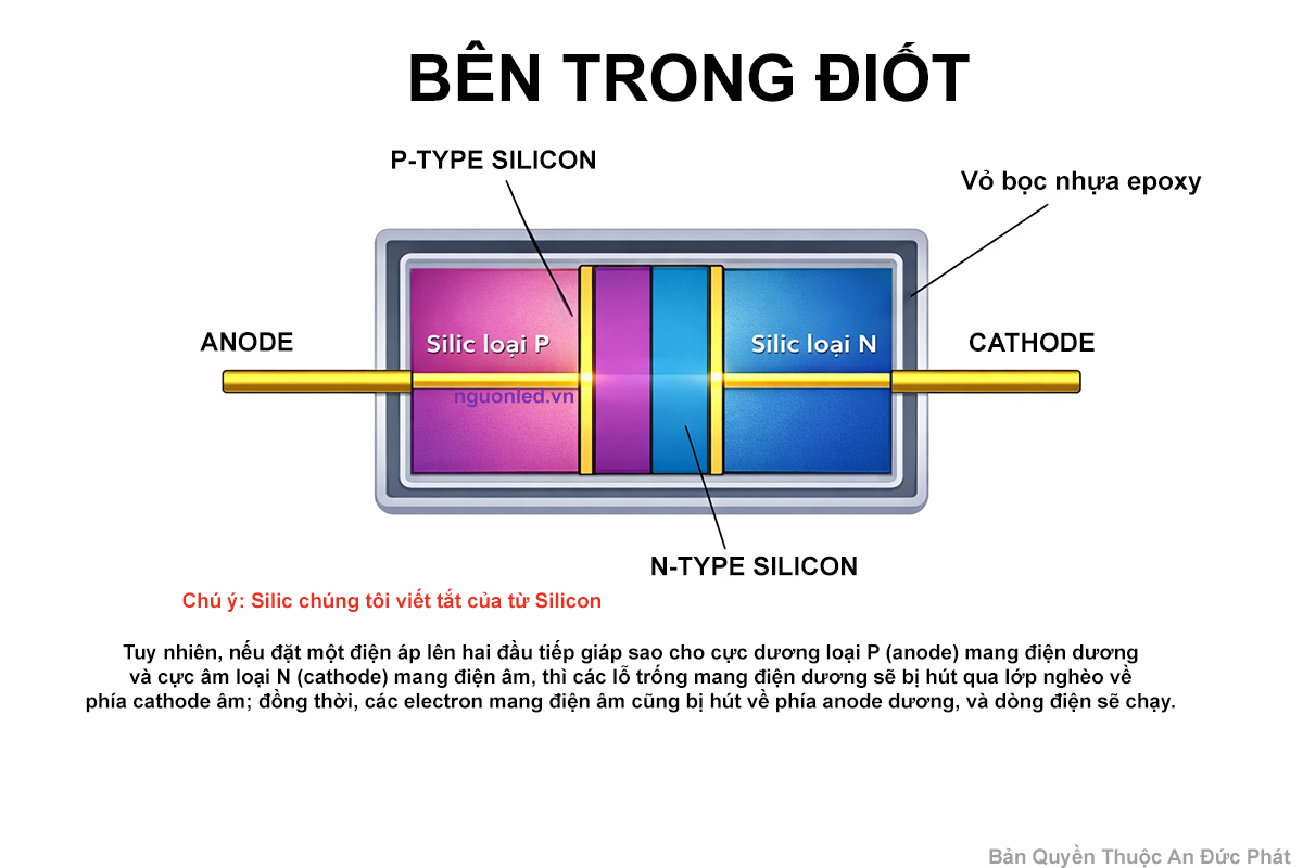 Cấu tạo bên trong diode gồm silic loại P, silic loại N, anode, cathode và vùng tiếp giáp P-N