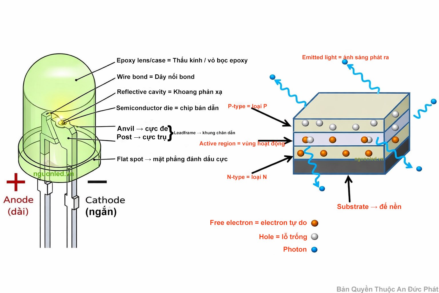 Cấu tạo LED gồm vỏ epoxy, dây bond, chip bán dẫn, lớp bán dẫn loại P, lớp bán dẫn loại N và ánh sáng phát ra