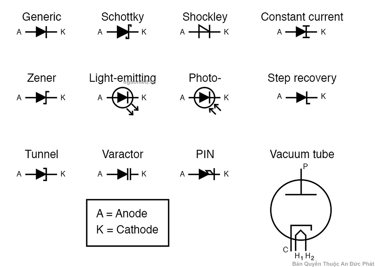 Ký hiệu các loại diode trong sơ đồ mạch điện gồm diode thường, Zener, Schottky, LED, photodiode, varactor và PIN